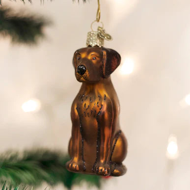 Old World Christmas Chocolate Labrador Ornament