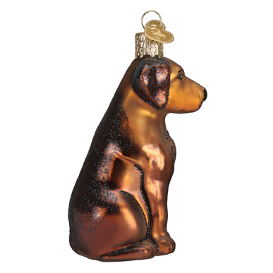 Old World Christmas Chocolate Labrador Ornament