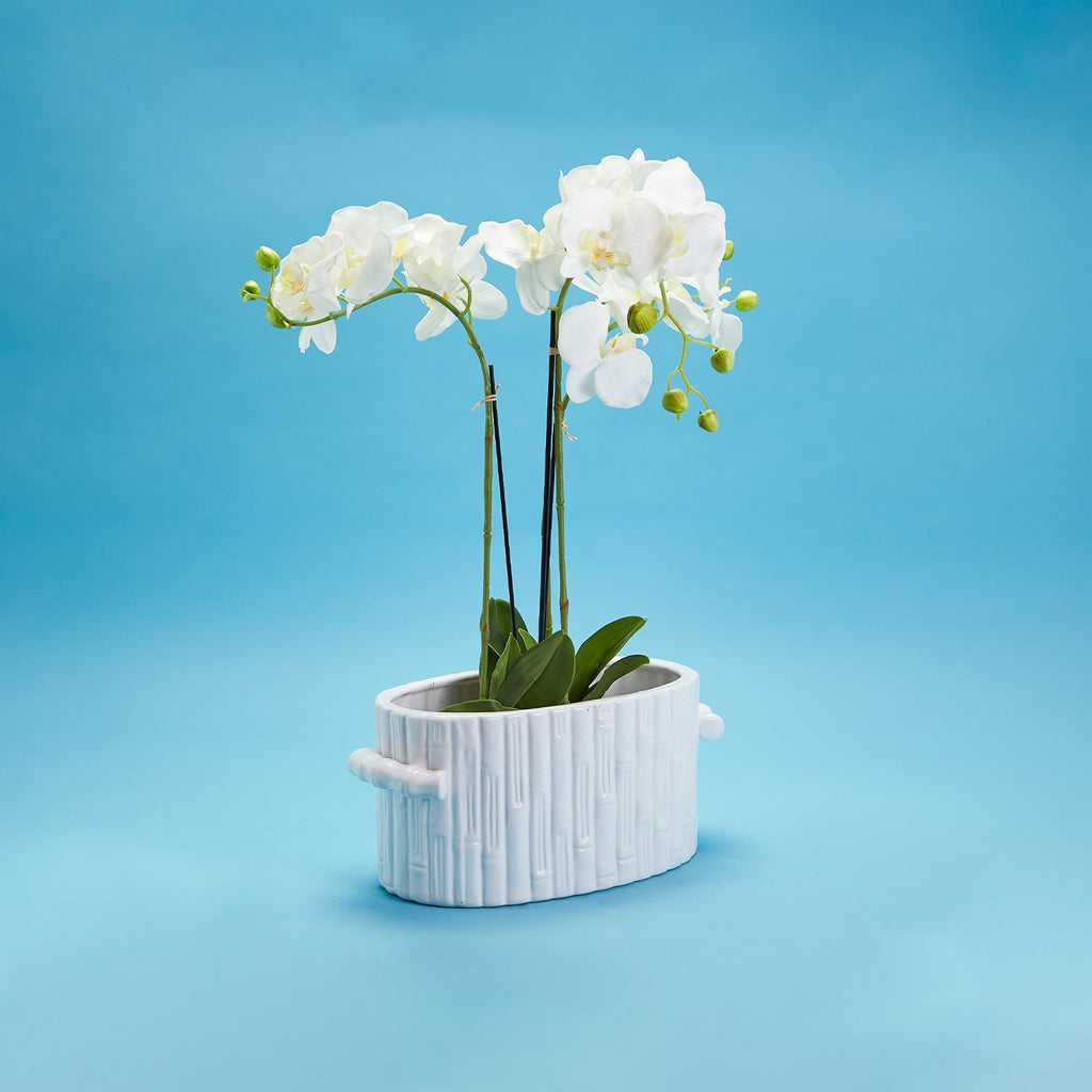 faux bamboo ceramic tub used as cache pot