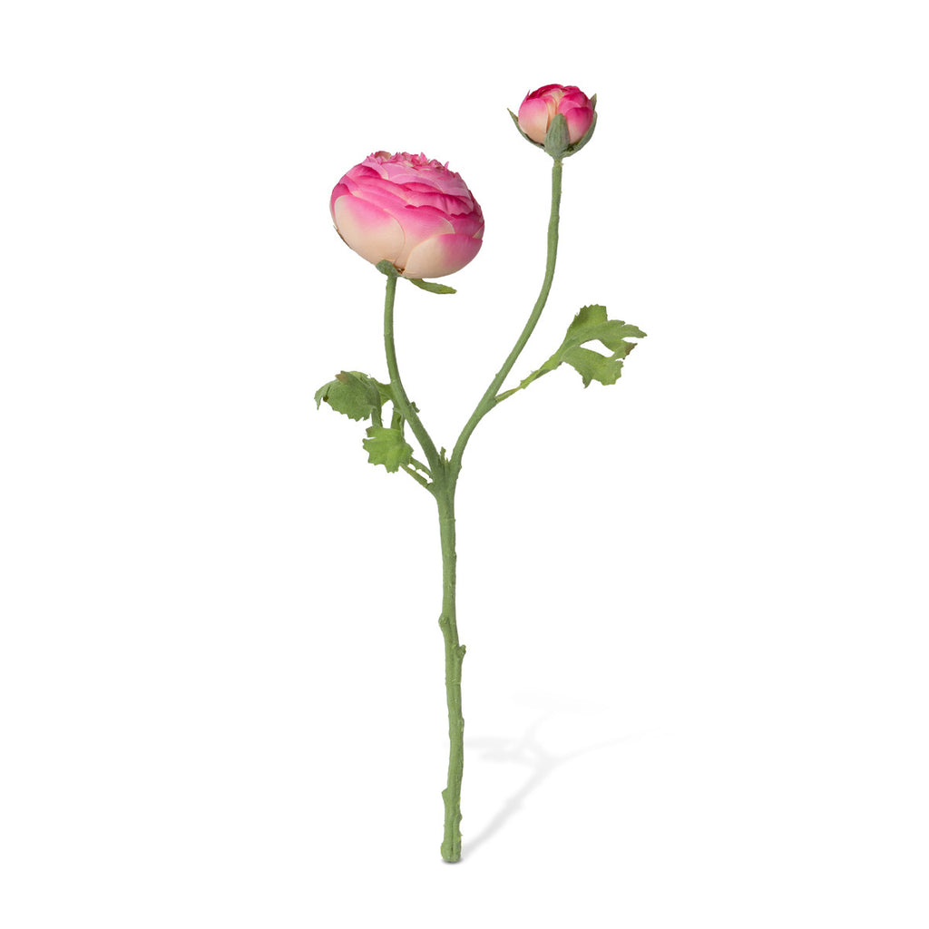 Summer Ranunculus, Pink Cerise Mix | Cornell's Country Store