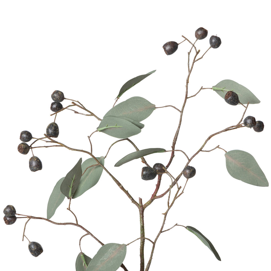 Eucalyptus Spray with Berries | Cornell's Country Store