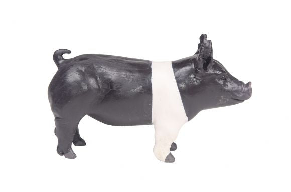 Little Buster Hampshire Show Pig Toy Figure in 1/16 Scale