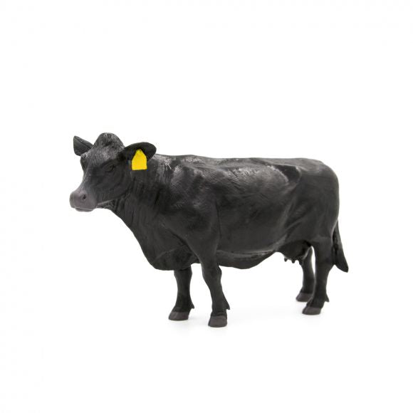 Little Buster Angus Cow Toy Figure in 1/16 Scale