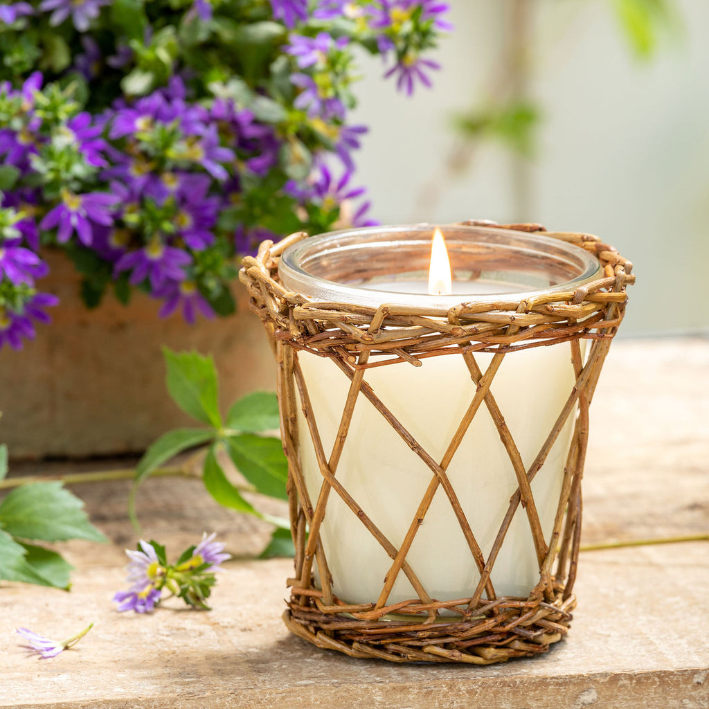 Park Hill Collection Lemon Verbena Willow Candle | Cornell's Country Store