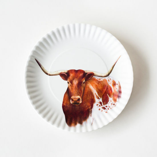 Texas Longhorn Melamine Plates "Paper"