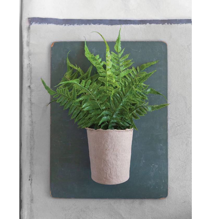 Faux Fern in Paper Pot | Cornell's Country Store